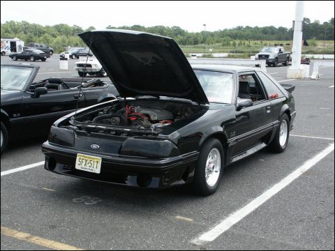 2001 Mercury Grand Marquis - A black Ford Mustang is parked with its hood open, revealing the engine and a horse emblem on the hood's interior.