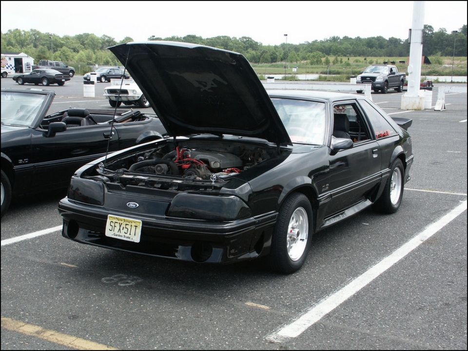 Black Ford Mustang with hood open, showing engine and a horse emblem on the underside of the hood