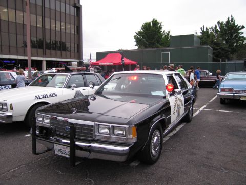 1991 Ford LTD Crown Victoria - black-and-white Ford police sedan with a push bar and star door shield, red roof light lit, parked at an outdoor car show.