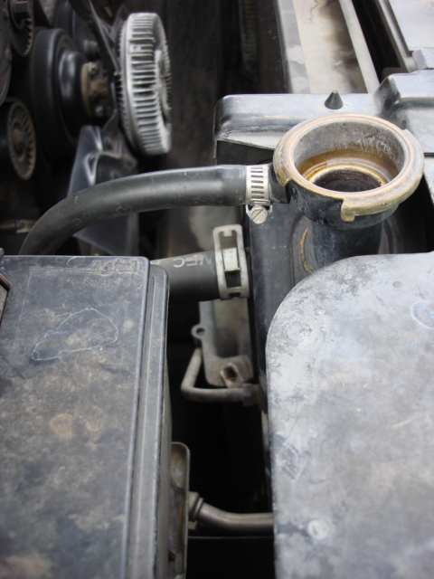 1983 Ford Bronco - al that is left to disconnect from the raditor is the heater return line 5/8 inch hose and the over fill hose.