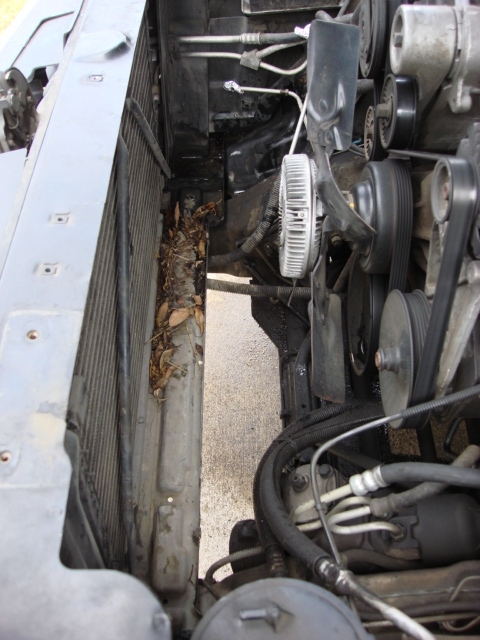1983 Ford Bronco - the raditor came right out. i cleaned the front end so there as no oil or p/s fluid and road crud.