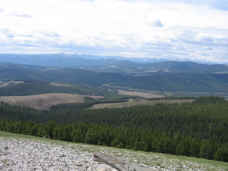 Scree slope viewpoint over spruce forest, logging cutblocks and distant mountains