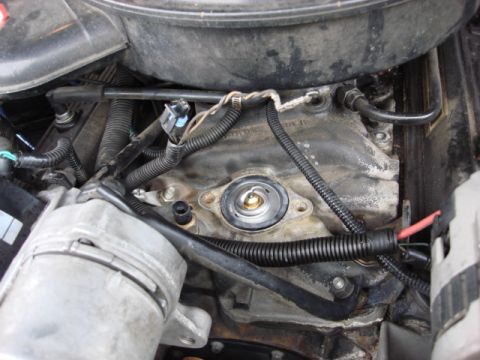 1983 Ford Bronco - make sure you install the thermastat in the correct manor--the point should point to the raditor side of the motor.