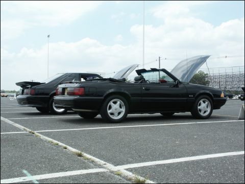 2001 Mercury Grand Marquis - Two black Ford Mustangs are parked in a lot, one with its hood open, under a cloudy sky.