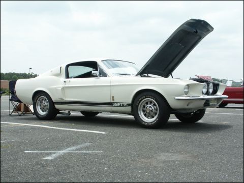 2001 Mercury Grand Marquis - A white 1967 Shelby GT350 is displayed with its hood open at a car show.