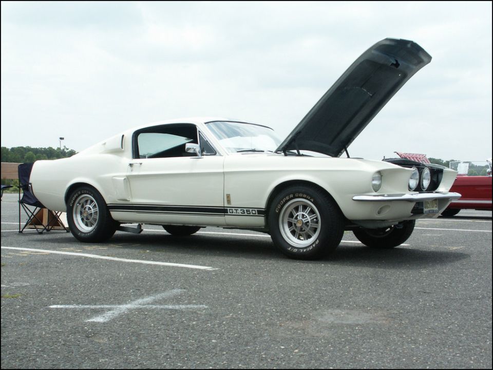 White 1967 Shelby GT350 with black racing stripes, hood open, parked on asphalt