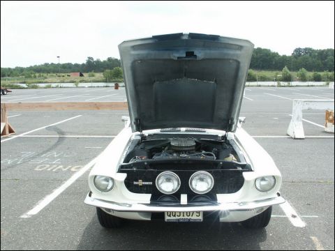 2001 Mercury Grand Marquis - A white 1969 Ford Mustang is displayed with its hood open, revealing the engine bay.