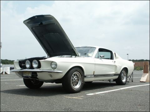 2001 Mercury Grand Marquis - A classic white Shelby GT350 is displayed with its hood open at an outdoor event.