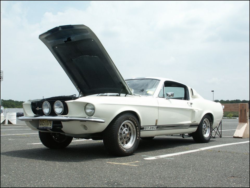 White 1967 Shelby GT350 with hood open, parked in a lot