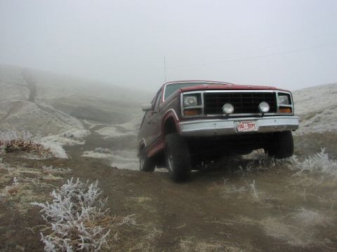 1981 Ford Bronco - My 8 year old took these