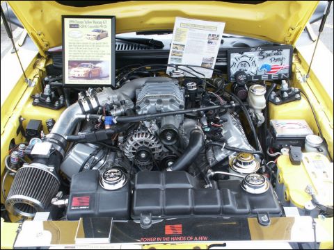 2001 Mercury Grand Marquis - Engine bay of a 1999 Ford Mustang GT, modified with a supercharger and custom parts.