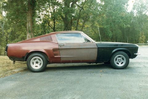 1981 Ford Bronco - An electrical fire ended my Mustang days, ah but some day...I will find another!