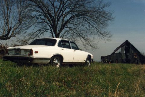 1981 Ford Bronco - ...here was my '76...