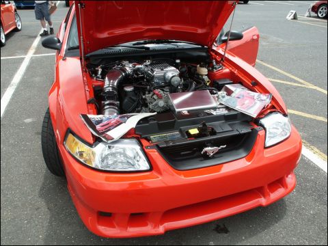 2001 Mercury Grand Marquis - A bright red 2001 Ford Mustang is displayed with its hood open, revealing a modified engine and car magazines.