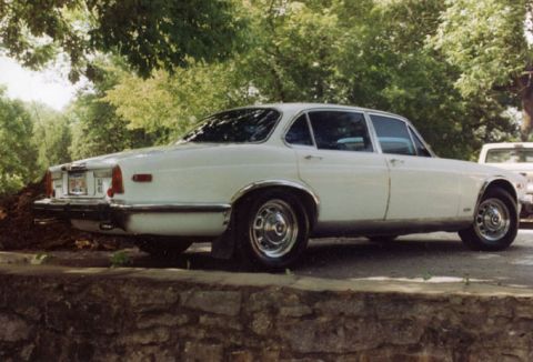 1981 Ford Bronco - ...with a ...umm...