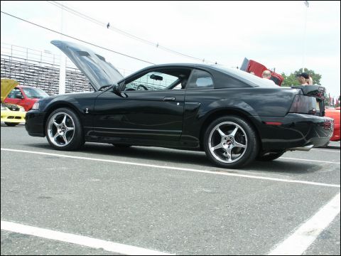 2001 Mercury Grand Marquis - A black 2001 Ford Mustang Cobra coupe is displayed with its hood open at a car show.