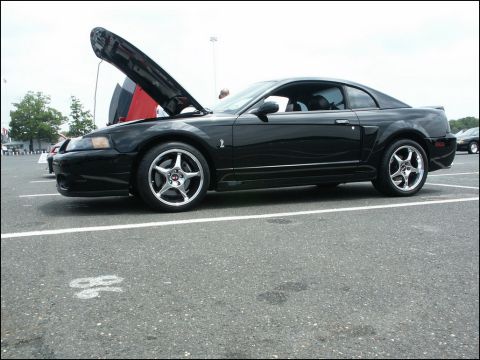 2001 Mercury Grand Marquis - Black Ford Mustang Cobra parked at an outdoor event, hood raised to show the engine bay.