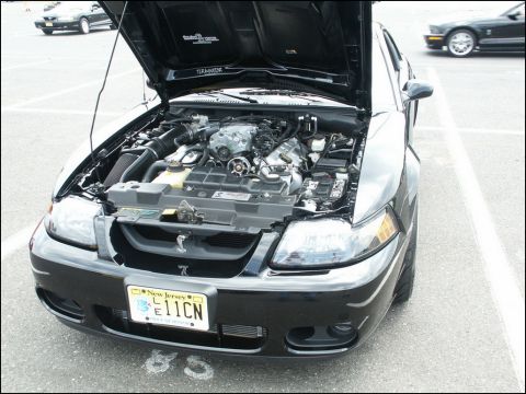 2001 Mercury Grand Marquis - Front view of a black Ford Mustang Cobra with the hood open, revealing the engine bay. A second Mustang is parked in the background.