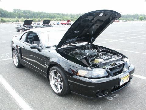 2001 Mercury Grand Marquis - A black Ford Mustang Cobra is displayed with its hood open, revealing the engine, at an outdoor car show.