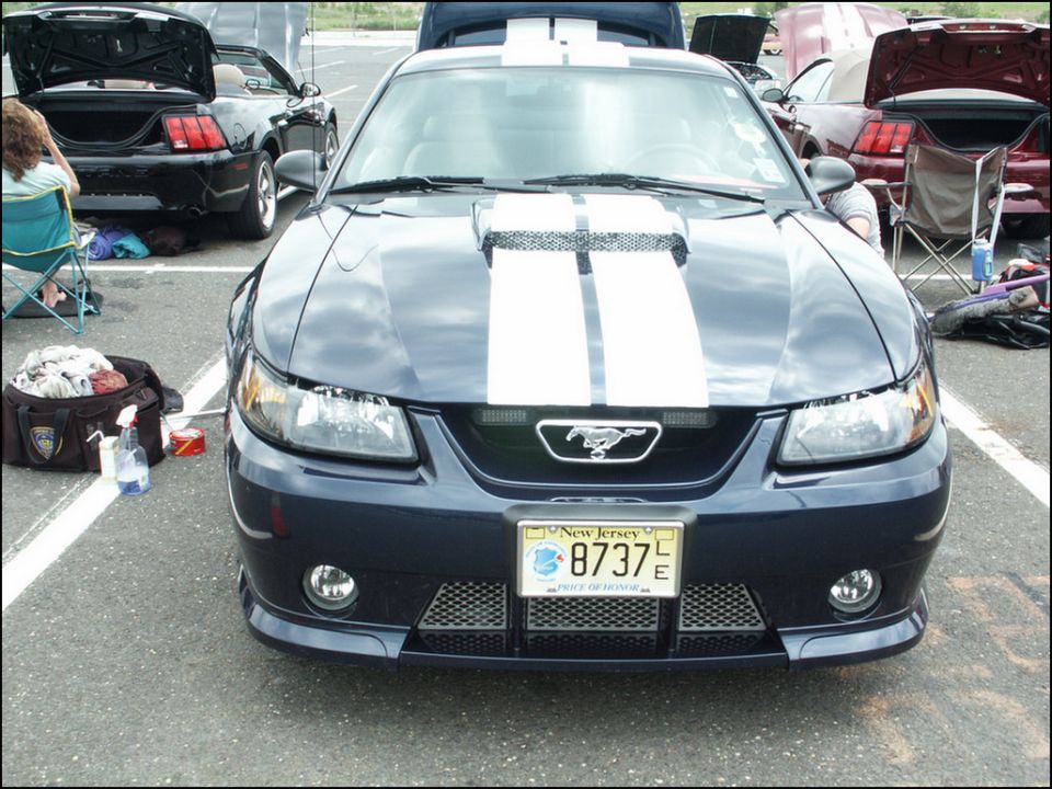 Dark blue Ford Mustang with white racing stripes, New Jersey license plate 8737 E