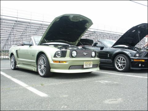 2001 Mercury Grand Marquis - A light green convertible Mustang, likely a 2005 model, is displayed with its hood open at a car show, alongside another Mustang.