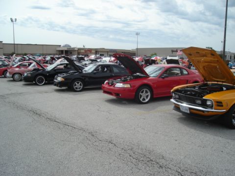1992 Ford Crown Victoria - A row of Ford Mustangs are parked with their hoods open at a car show.