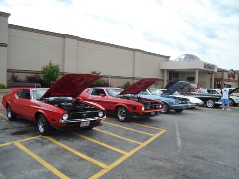 1992 Ford Crown Victoria - A line of classic cars, mostly red Mustangs, are displayed with their hoods open at an outdoor event.