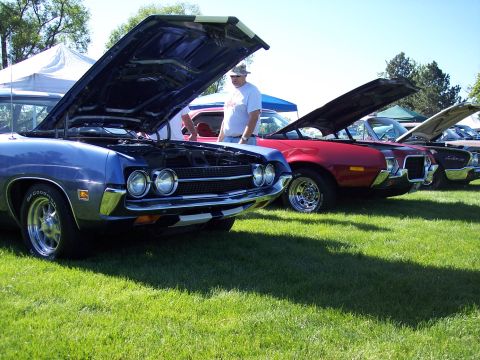 1972 Ford Ranchero - A line of classic cars, including a blue Ford Ranchero, are displayed with their hoods open at an outdoor event.