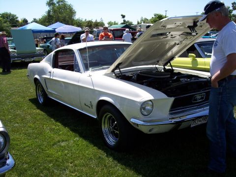1972 Ford Ranchero - White 1967 Ford Mustang Fastback at an outdoor car show with the hood open.