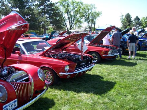 1972 Ford Ranchero - A gathering of classic automobiles displayed with their engines visible.