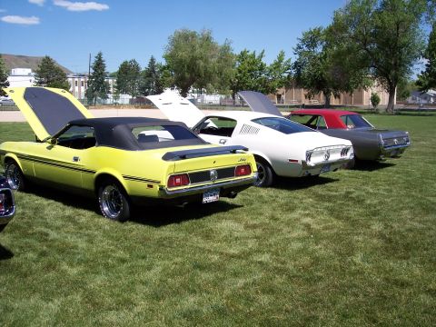 1972 Ford Ranchero - Three classic American cars, including a yellow 1971 Ford Ranchero and a white 1971 Ford Mustang Mach 1, are parked on a grassy field.