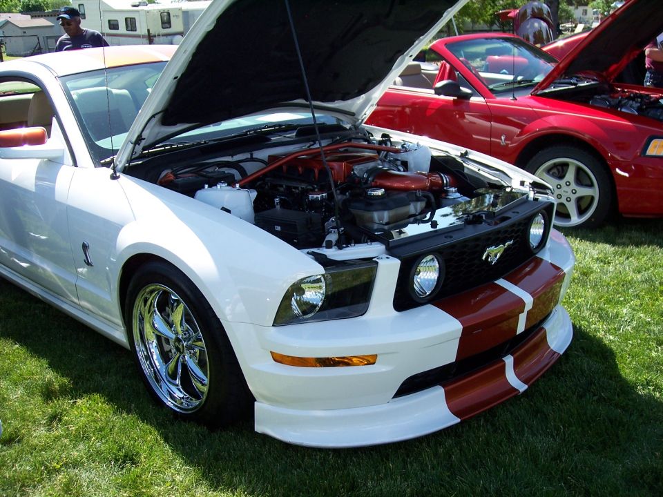 White Ford Mustang with hood open, showing engine. Red convertible Mustang in background