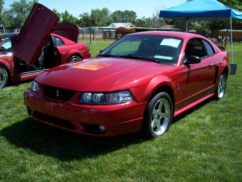1972 Ford Ranchero - A red 2001 Ford Mustang Cobra with flame decals on the hood is parked on grass, with another Mustang's door open nearby.