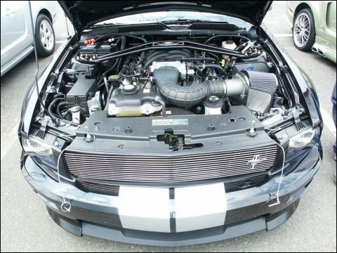 2001 Mercury Grand Marquis - Front view of a black Ford Mustang's engine bay, showing the engine and aftermarket modifications.
