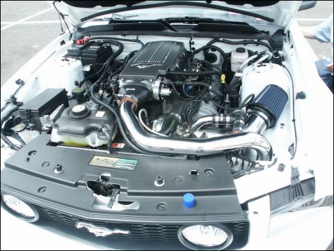 2001 Mercury Grand Marquis - Customized engine bay a prominent supercharger and polished intake piping, with website text visible at the bottom.