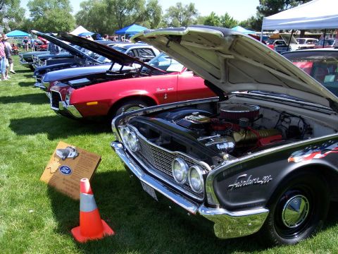 1972 Ford Ranchero - Several classic cars are lined up with their hoods open at an outdoor event.