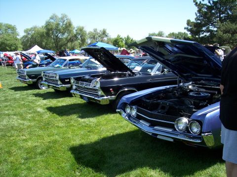 1972 Ford Ranchero - A line of classic cars with hoods open at a car show, a blue 1968 Ford Torino in the foreground.