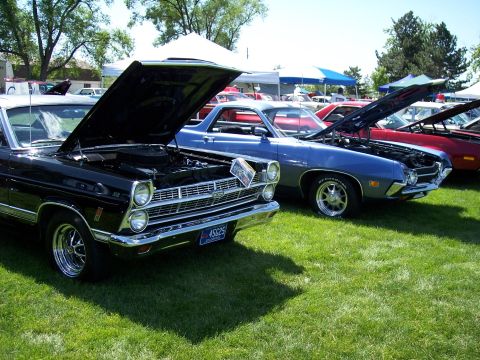 1972 Ford Ranchero - Multiple Ford Rancheros displayed with hoods open at a car show event.