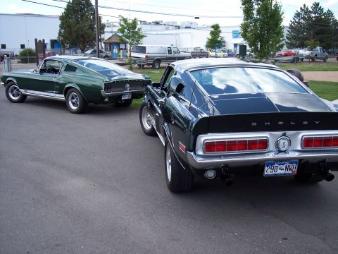 1972 Ford Ranchero - Two classic Ford Mustangs, one a Shelby model, are parked side-by-side on a paved surface with buildings in the background.