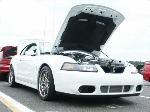 2001 Mercury Grand Marquis - A white 2001 Ford Mustang is parked with its hood open, revealing the engine bay.
