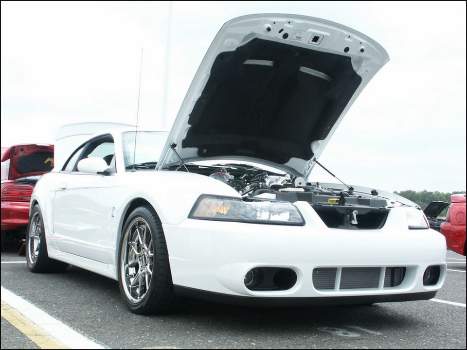 White 2001 Ford Mustang coupe with hood open, showing engine. Chrome wheels, front 3/4 view