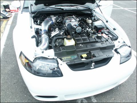 2001 Mercury Grand Marquis - Engine bay of a white Ford Mustang, showing aftermarket intake and chrome engine components.