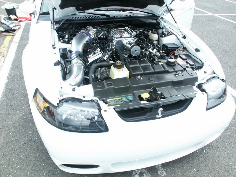 White Ford Mustang engine bay with chrome intake and engine covers. Hood is open