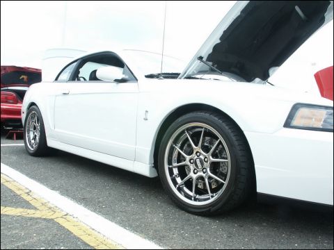 2001 Mercury Grand Marquis - A white Ford Mustang is displayed with its hood up at a car show, alongside another vehicle.