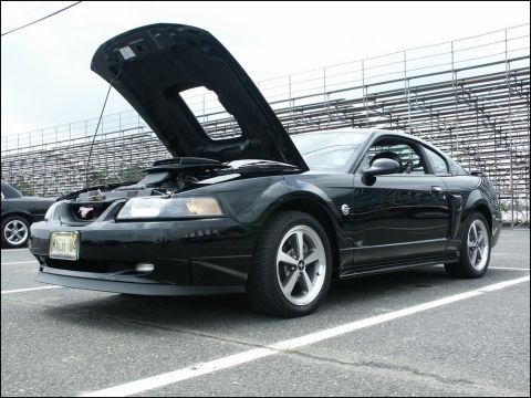 2001 Mercury Grand Marquis - Black Ford Mustang coupe parked at a car show with stadium seating in the background.