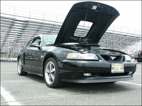 2001 Mercury Grand Marquis - A black Ford Mustang is parked with its hood up, showing the engine bay.