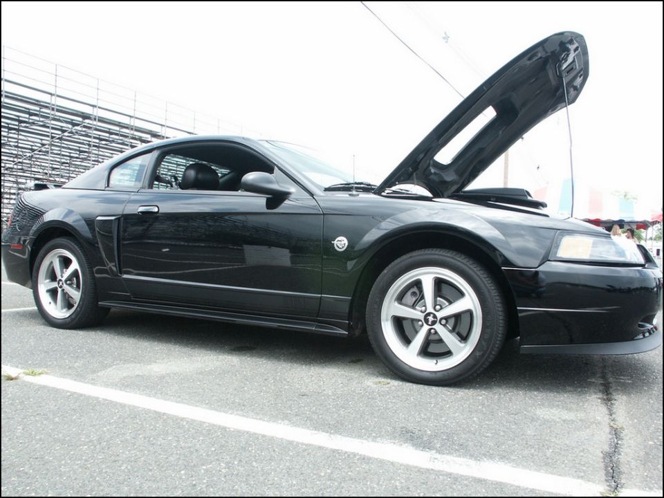 Black Ford Mustang coupe, hood open, side view, silver wheels
