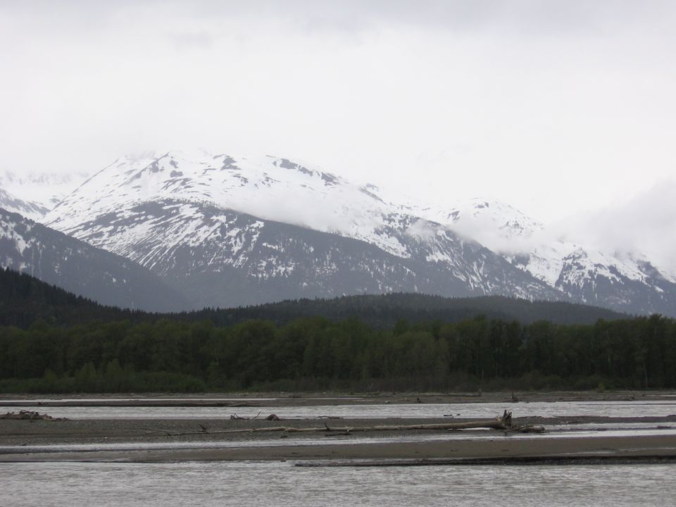 Snow-capped mountains loom over a dark forest and a wide, gravelly riverbed under an overcast sky