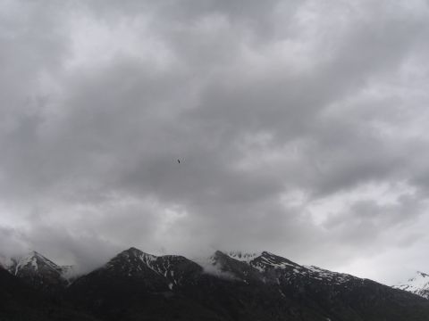 1973 Ford Ranchero - A bird soars over , snow-dusted mountains beneath a dramatic, overcast sky.