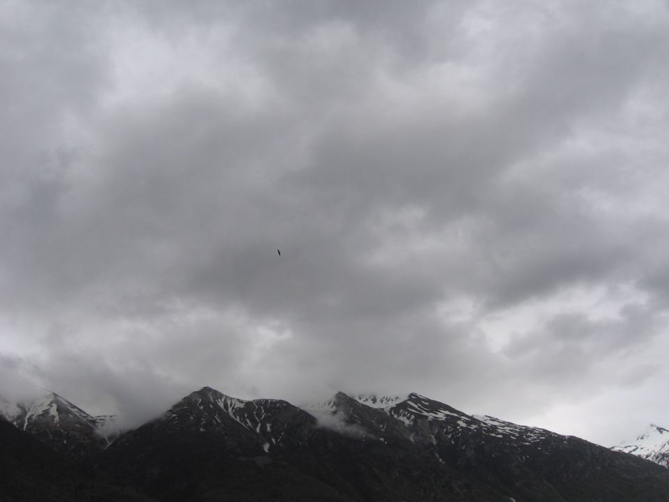 Bird flying over snow-capped mountains under a cloudy sky